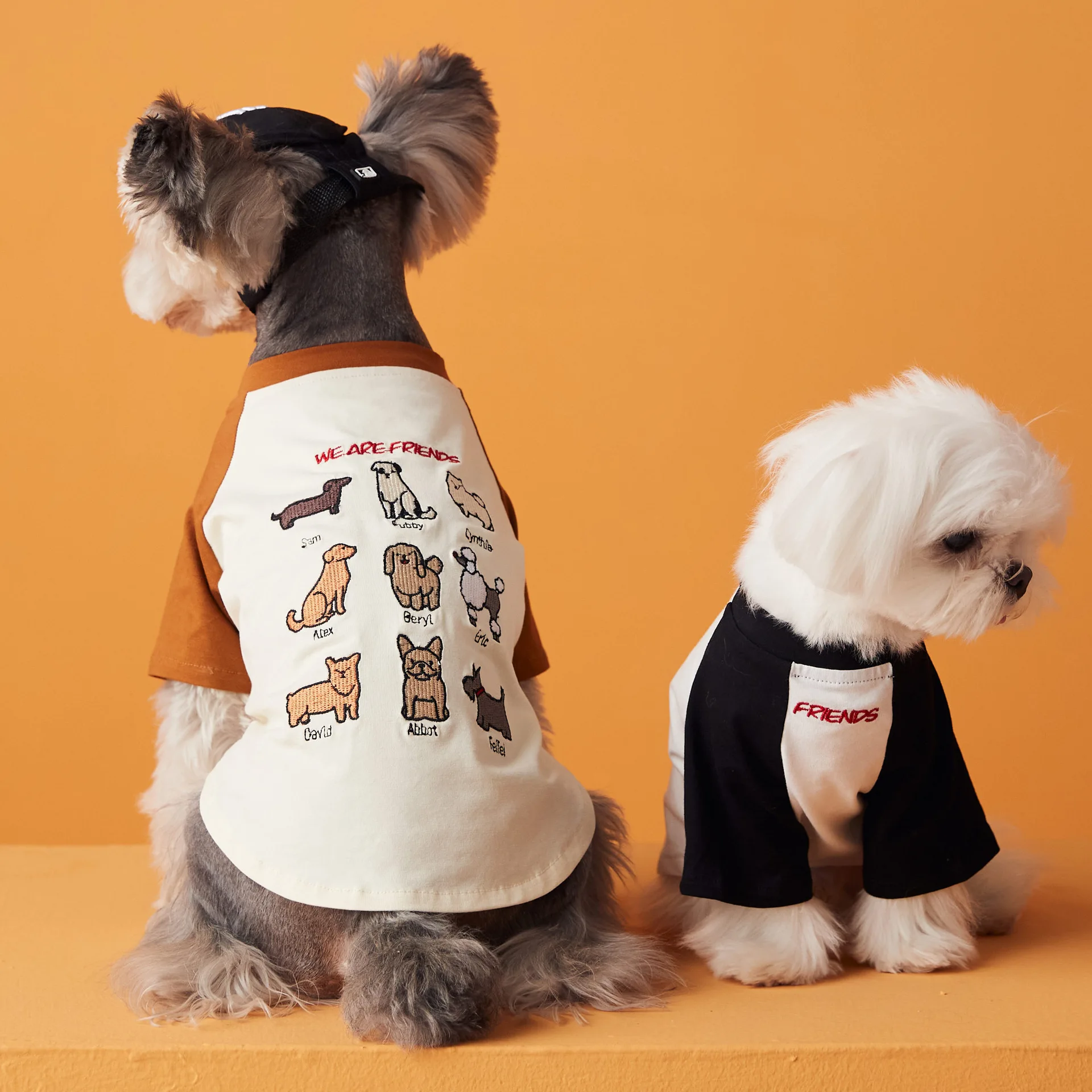 Summer Dog Clothes Colorful Embroidery Printed Pet Short T-Shirt Puppy Maltese Schnauzer Thin Breathable Small Dog Clothes