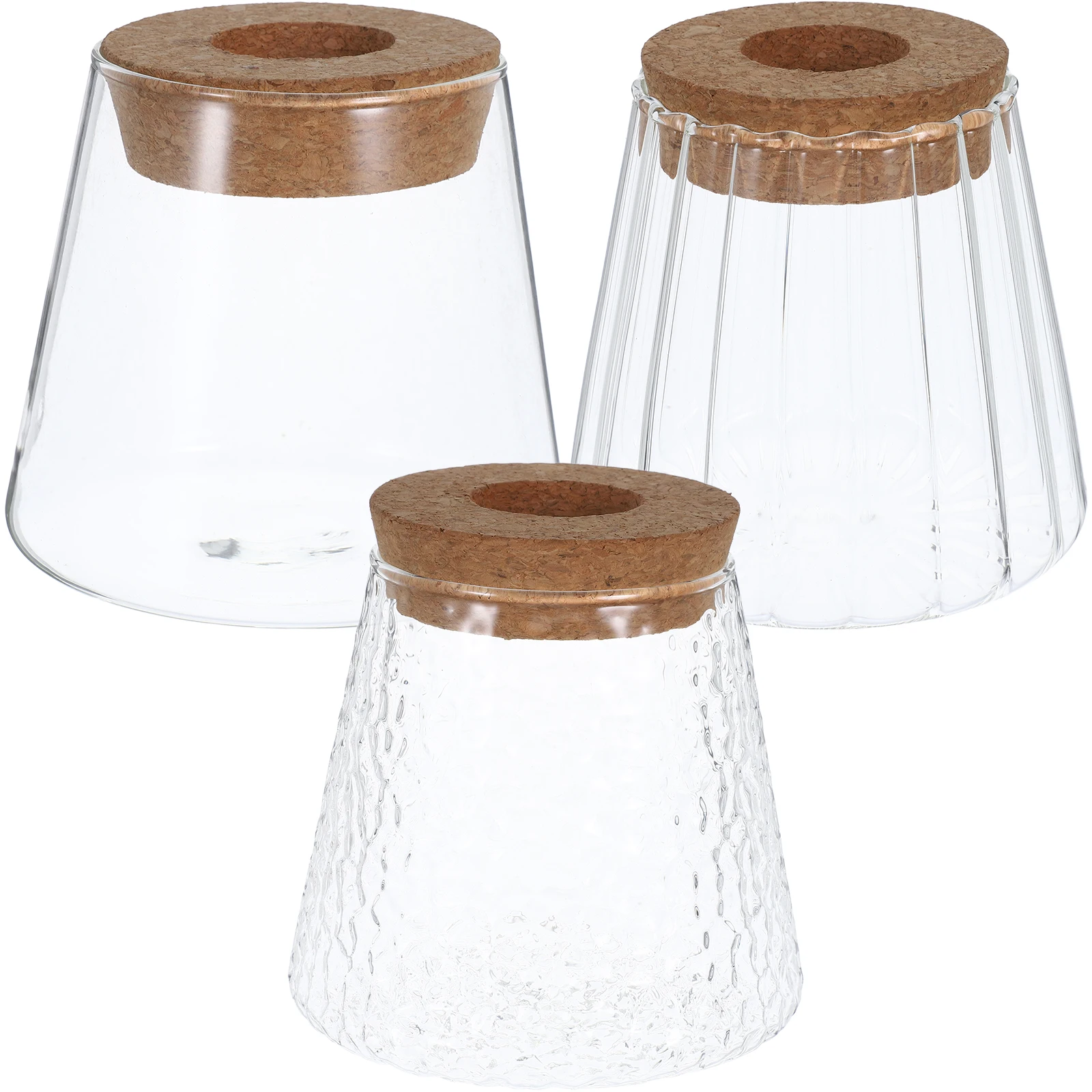 

3pcs Glass Propagation Vases For Plants Desktop Hydroponic Clear Vase Indoor Gardening Small Plant Terrarium Table