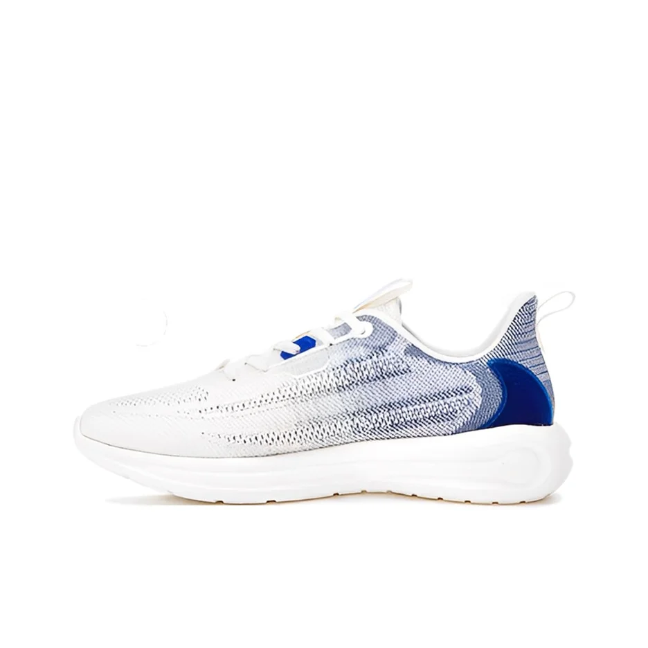 Erke Low top Running Shoes Men's Blue 11122203370-001