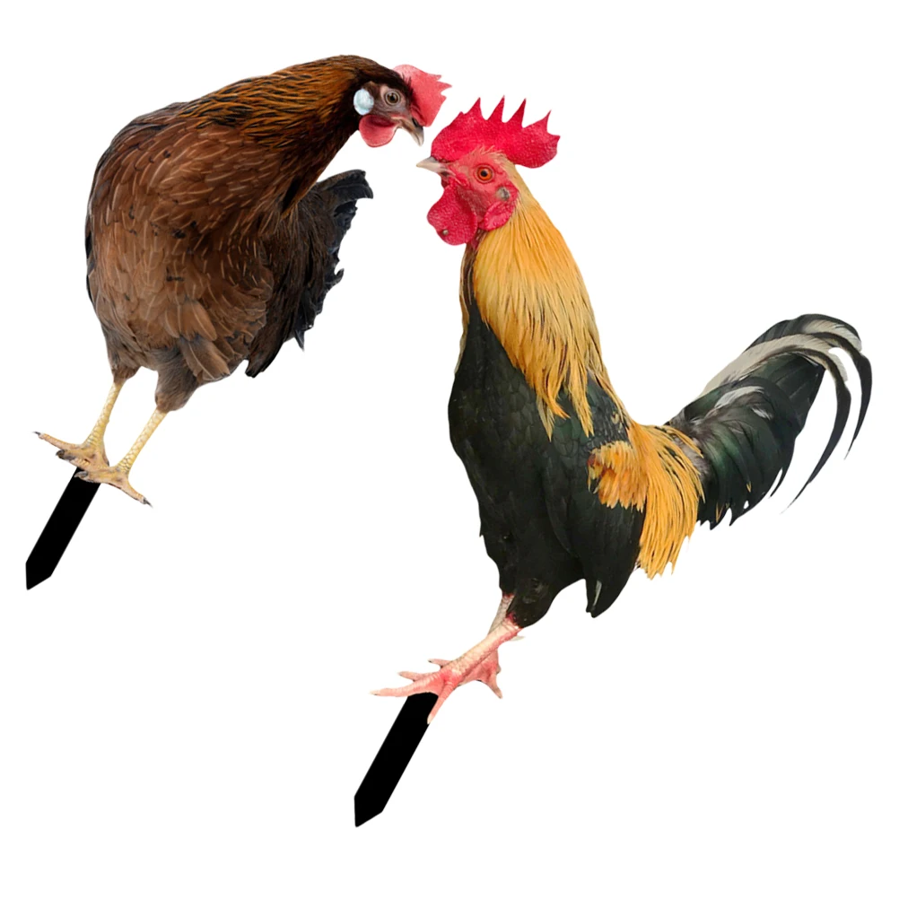 

2Pcs Durable Acrylic Chicken Stake Decor Outdoor Yard nament Garden Lawn Decoration Simulation Chickens Stakes