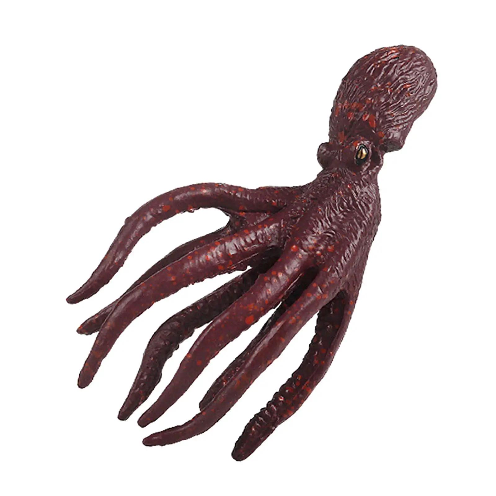 Lifelike Squid Figurine Model Toy, Figura Animal Marinha, Brinquedos científicos