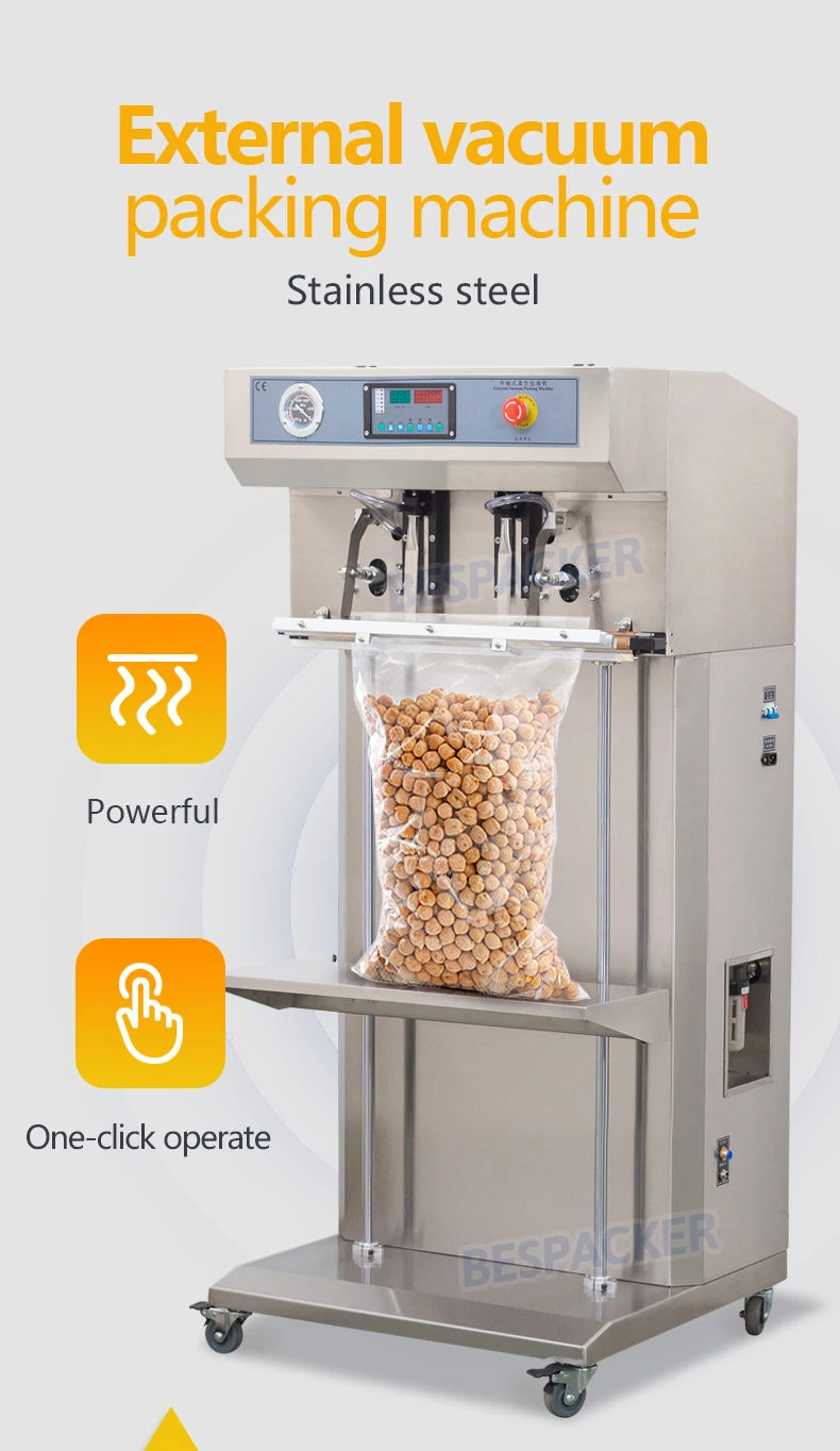 Bespacker VSQ-600LWS Vertikaler Typ Externe bodenstehende Vakuumverpackungsmaschine für trockenes Fischfleisch, externes Vakuumiergerät