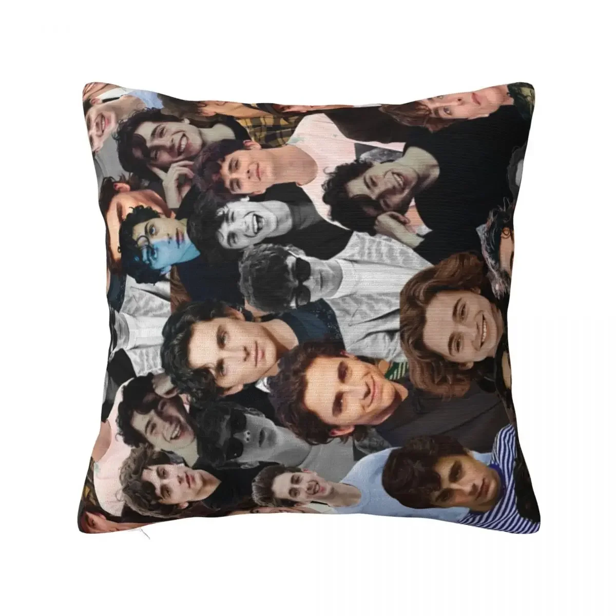 Timothee Chalamet photo collage Throw Pillow Cushions For Sofa Luxury Sofa Cushions pillow covers decorative