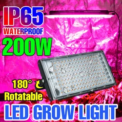 LED Plant Grow Light Full Spectrum Flower Seeds Vegetable Indoor Greenhouse Hydroponic Cultivation Growth Lamp 25W 50W 100W 200W