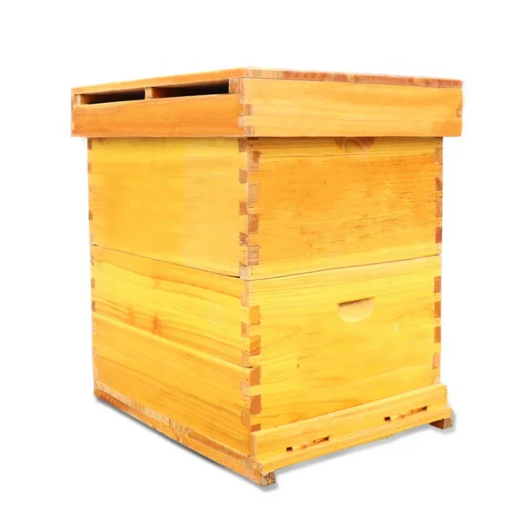 

Benefitbee Beekeeping Honey Bee Hive Box Wooden Custom Beehive With Queen Excluder Plastic