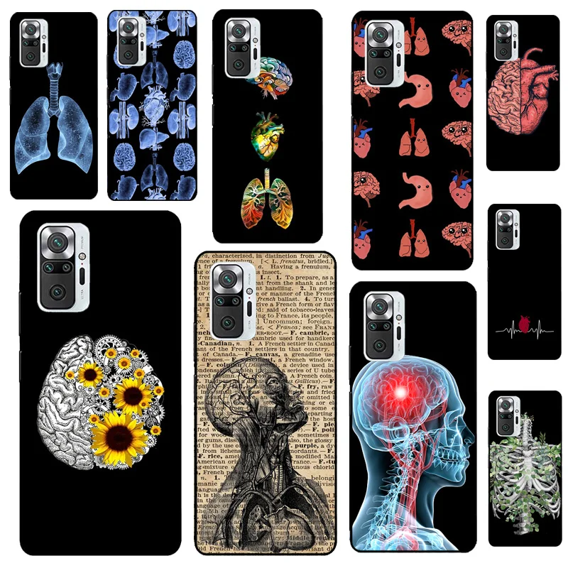 Medical Human Organ… - image