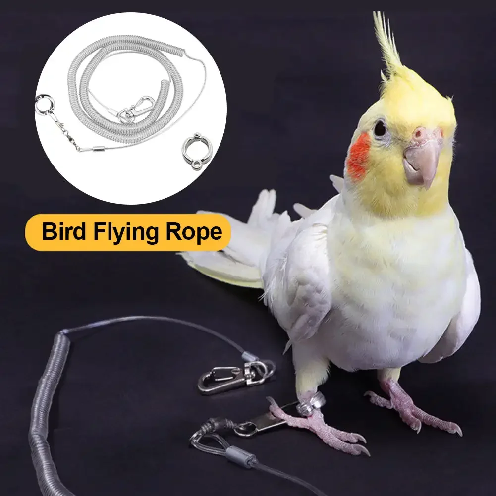 3m Flexible Bird Leash with Leg Ring Ultra-light Parrot Bird Harness Anti-bite Outdoor Flying Safety Training Rope for Macaw