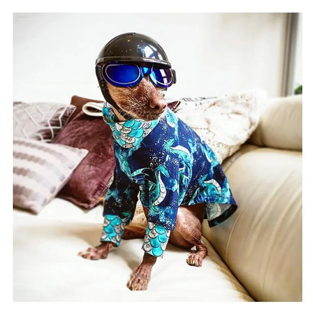 Blue Dog Glasses Funny Durable Lightweight Colorful Cotton Nylon Belt Spoof Pet Sunglasses for Parties Pet Glasses Spoof