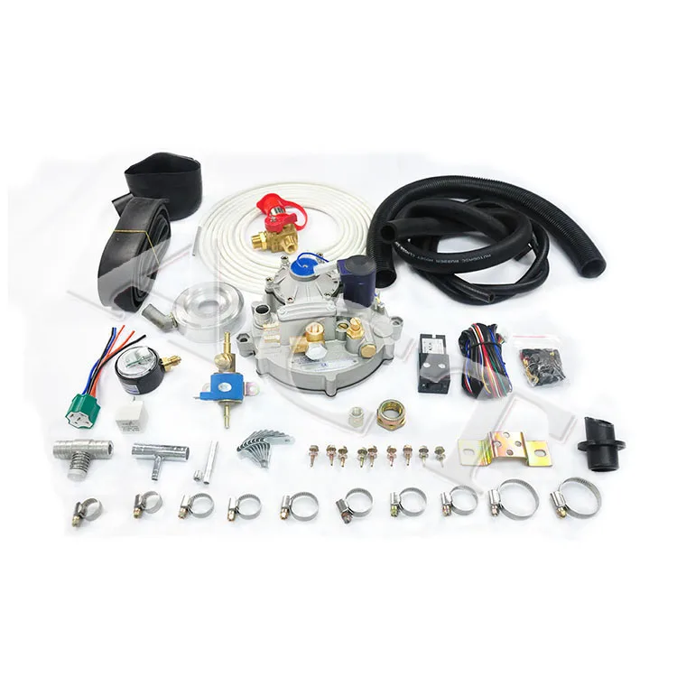 Auto CNG Carburetor Kits For Tricycle GNV Single Point CNG LPG Completed Kits 3rd Generation