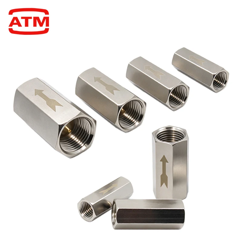 CV BSP Female Thread One Way Check Valve 1/8