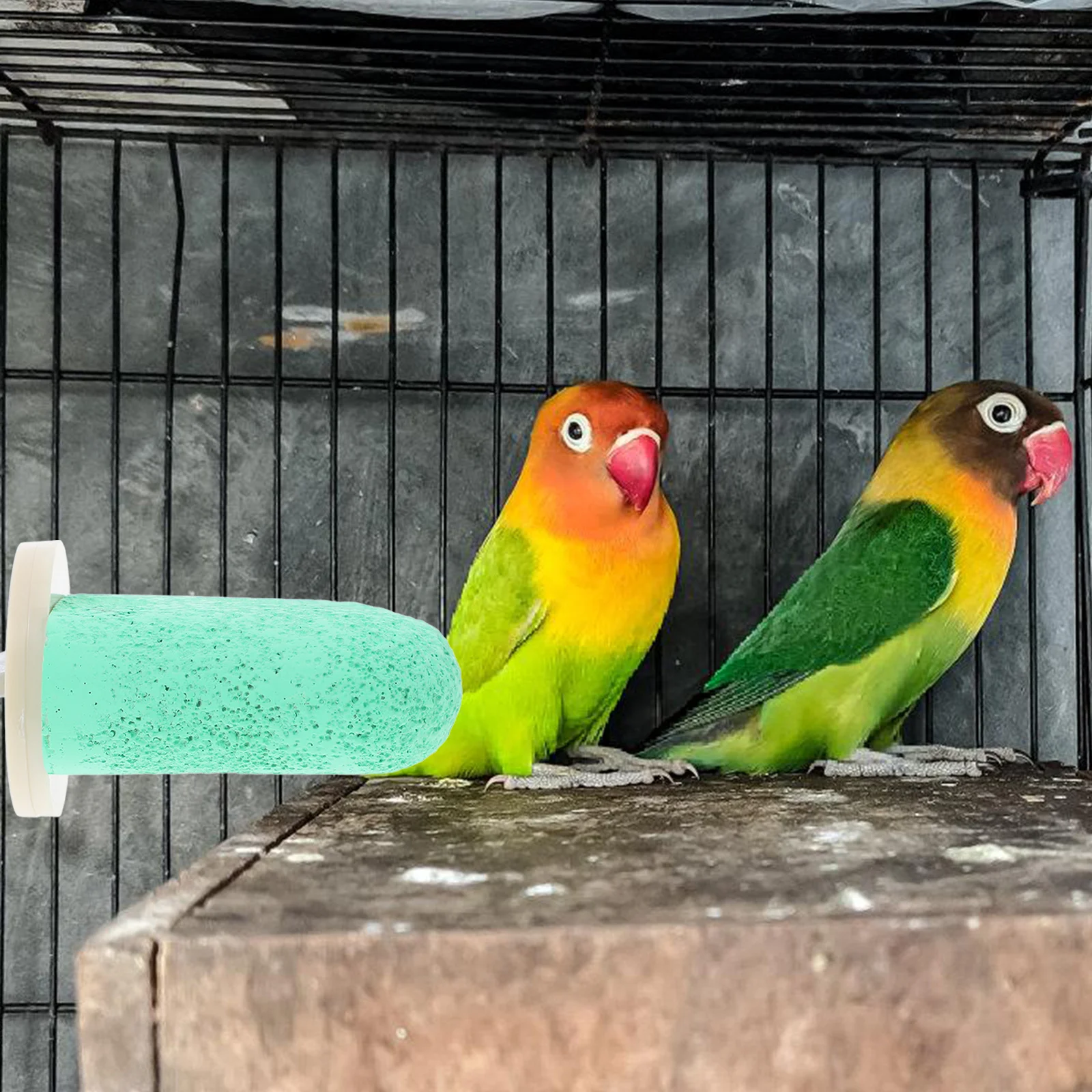 

Pet Bird Perch Stand Pumice Grinding Rod For Parrots Hamsters Squirrels Multi-Functional Cage Accessory Budgie Parakeet Cage