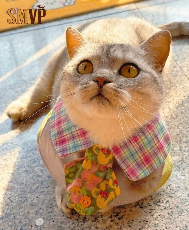 Green Splicing Plaid and Small Floral Pattern Tie Fresh Pastoral Style Pet Decorative Bib Saliva Towel Decorative Accessories