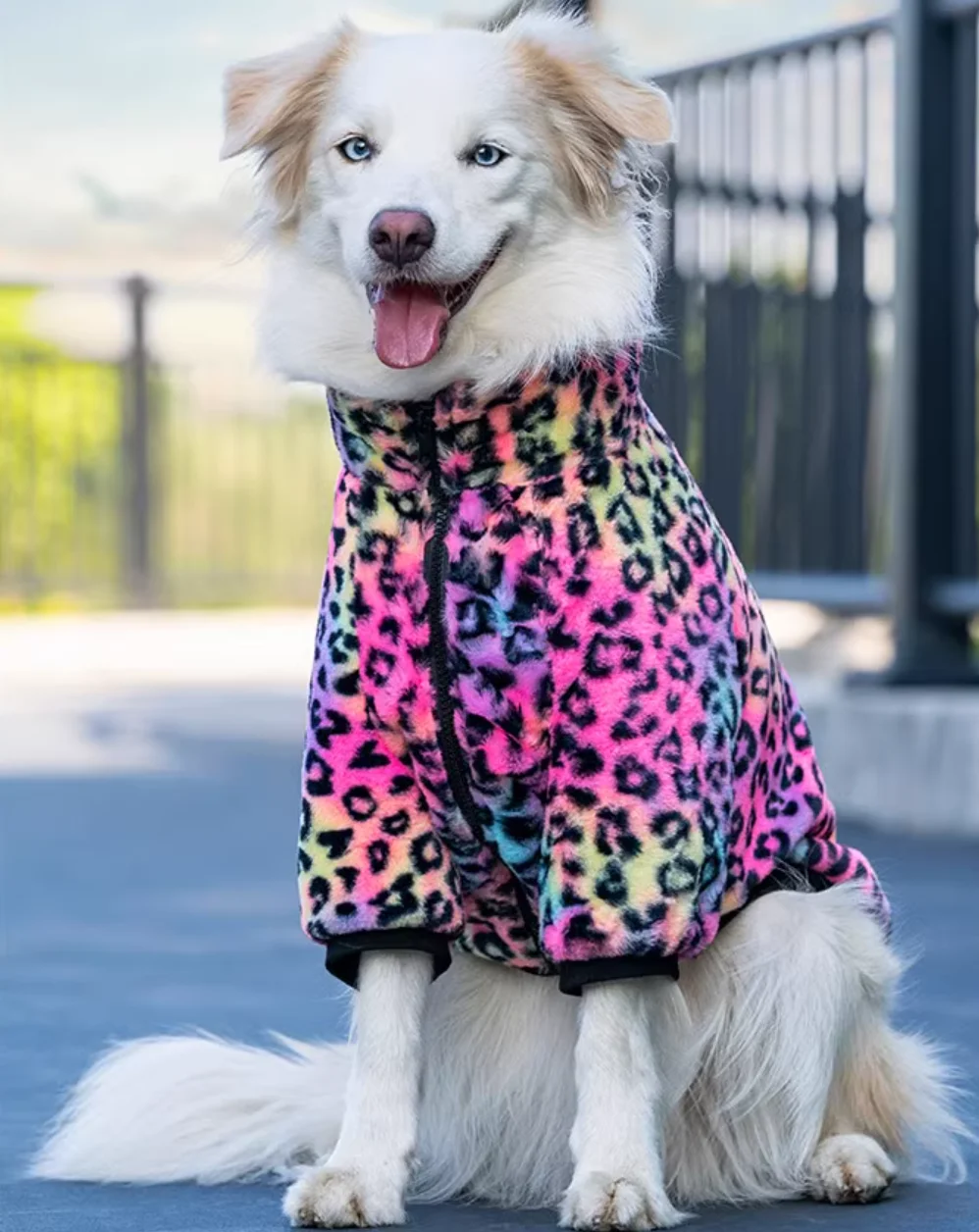 Winter Big Large Dog Clothes Coat Dobermann Belgian Malinois Shiba Inu Border Collie Husky Labrador Golden Retriever Clothing