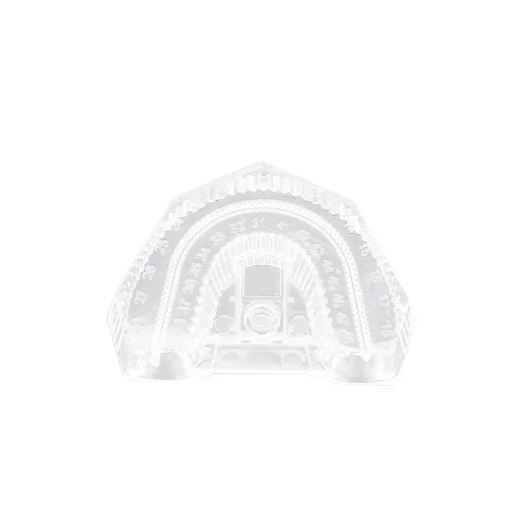 SS 100Pcs Disposable Technician Parting Box, Plastic Parting Box, Model Turnover Box