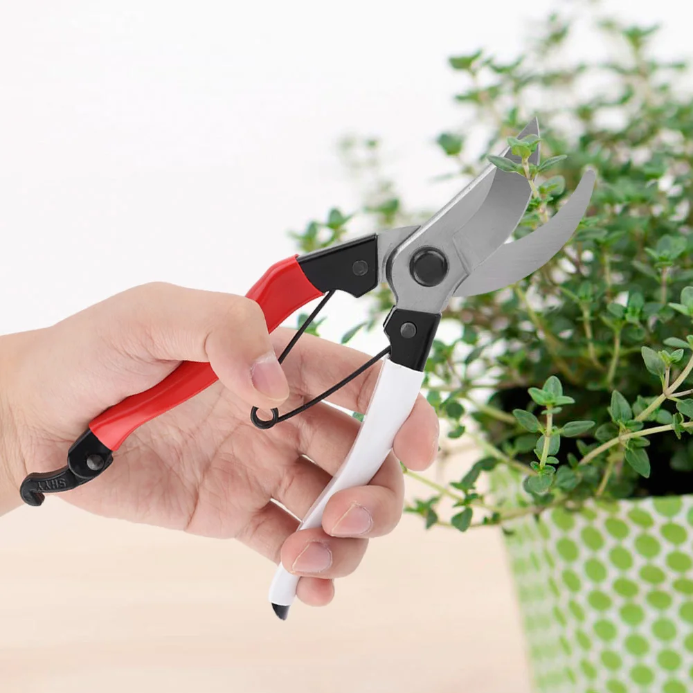 Plant Scissors Home…