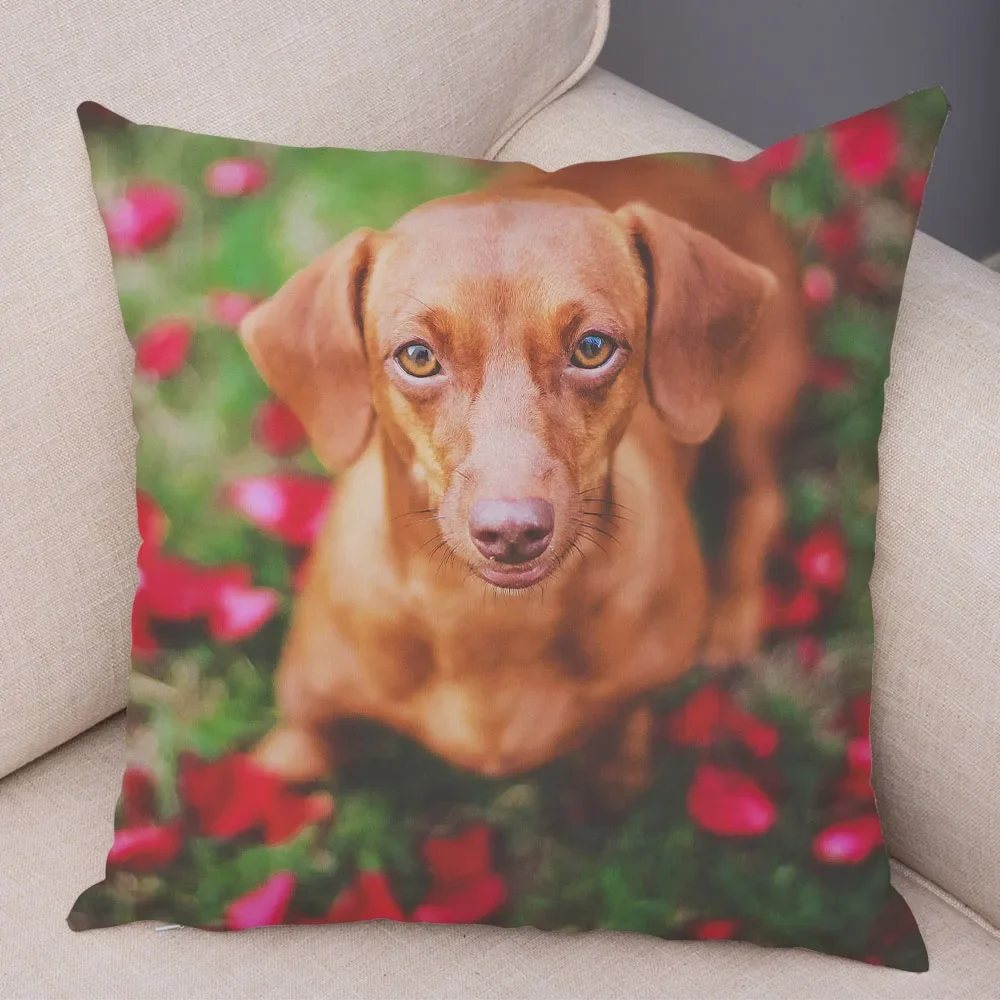 Fotografia 4: Mini capa de almofada de cachorro dachshund com estampa de pelúcia curta para decoração de sala de estar capa de almofada decorativa