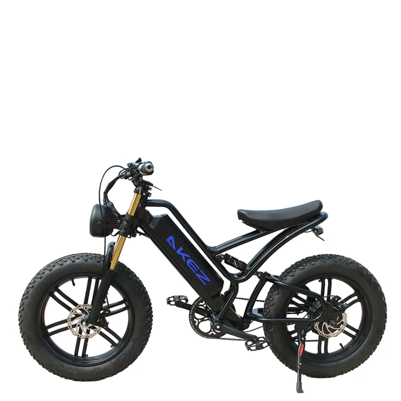 

AKEZ 48V 13ah 750W Soft Tail Fat Tire Electric Bike 20" | Off-Road Snow E-Bike | In-Stock US Warehouse