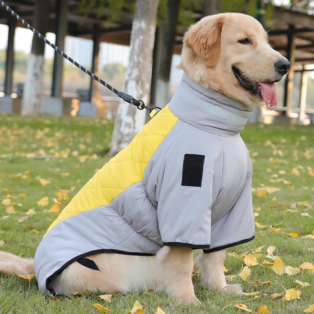 Golden Labrador Retriever Waterproof Dog Jumpsuit Overalls For Medium Large Dogs Big Dog Winter Warm Cotton Blend Coat