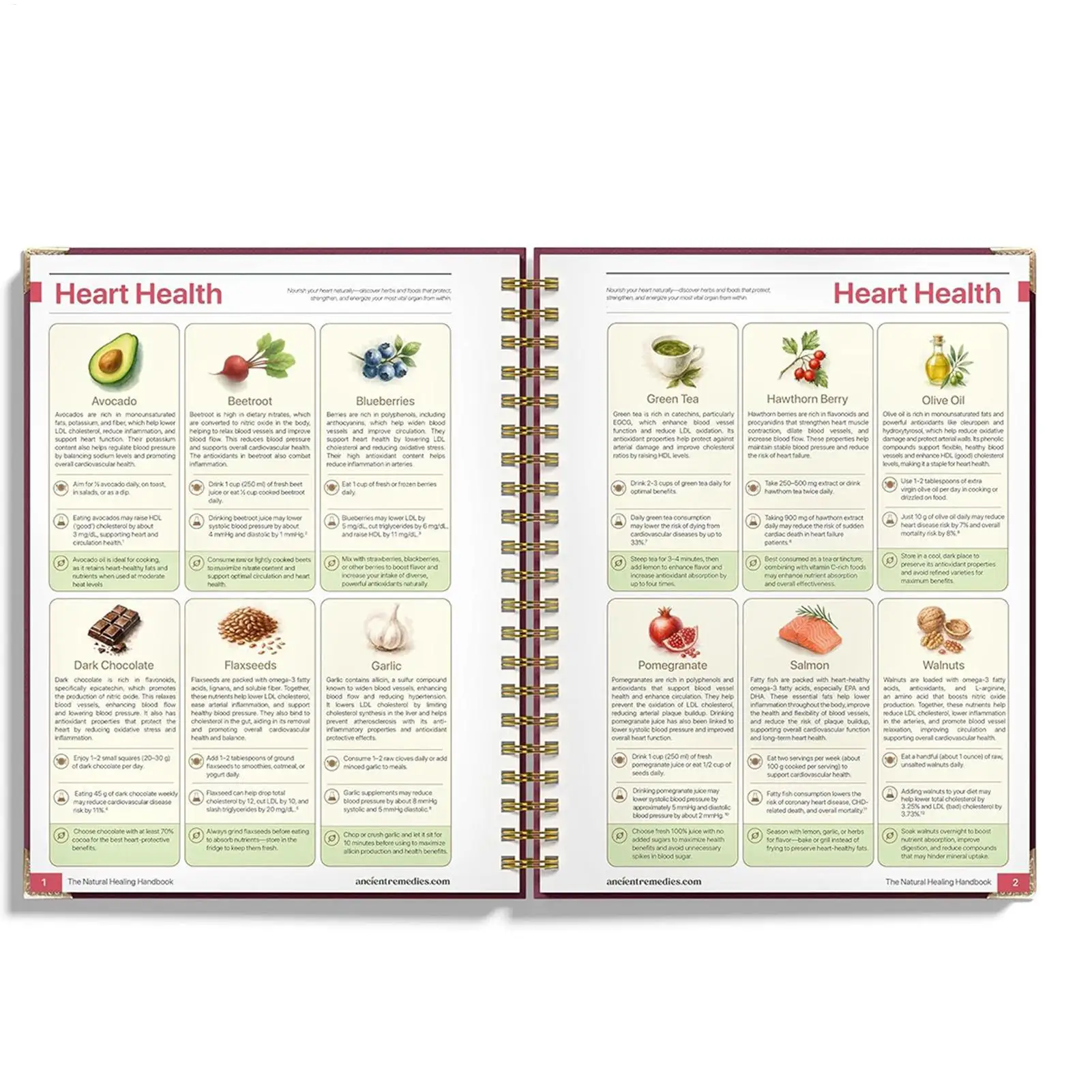 Human Health Guide Book Plant Theme Eating Recipe Spiral Binding Natural Book for Women Men Family Adult Elderly Chef Study - Image 3
