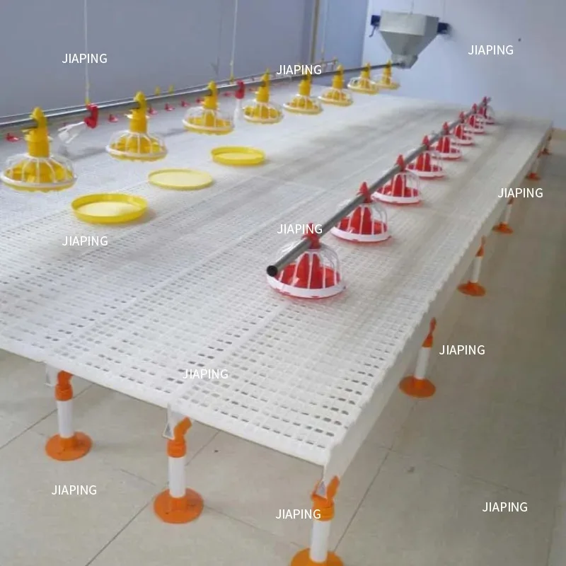 مناسبة لنوع شرائح مزرعة الدواجن البلاستيكية لأرضية شريحة الدجاج البلاستيكية لمزرعة الدواجن اللاحم