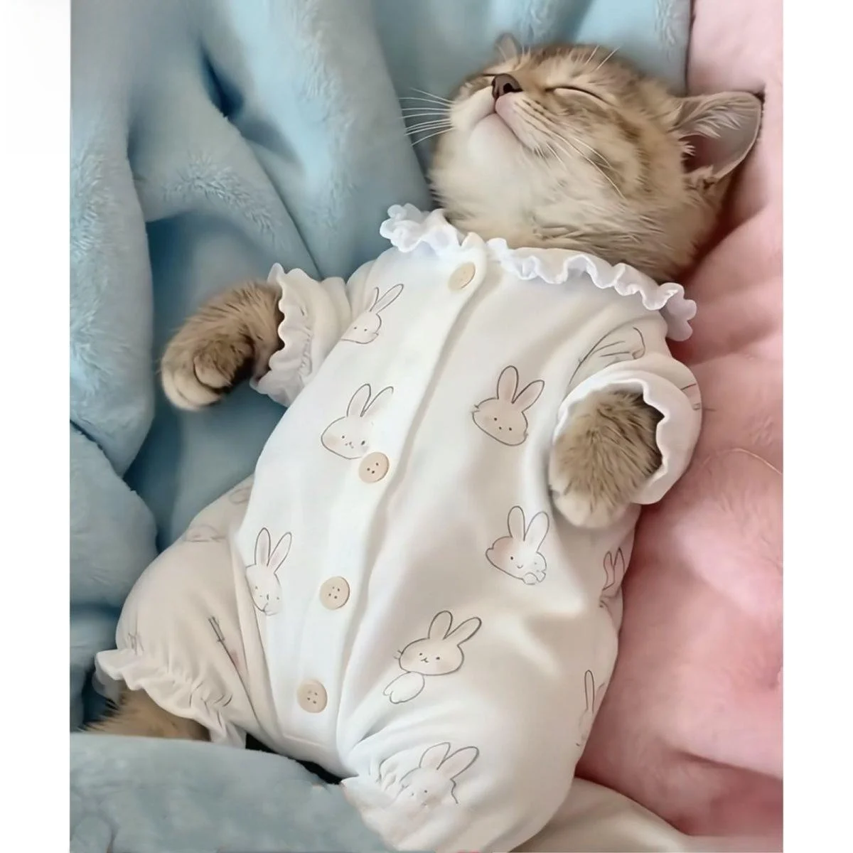 Warm Winter Clothes…