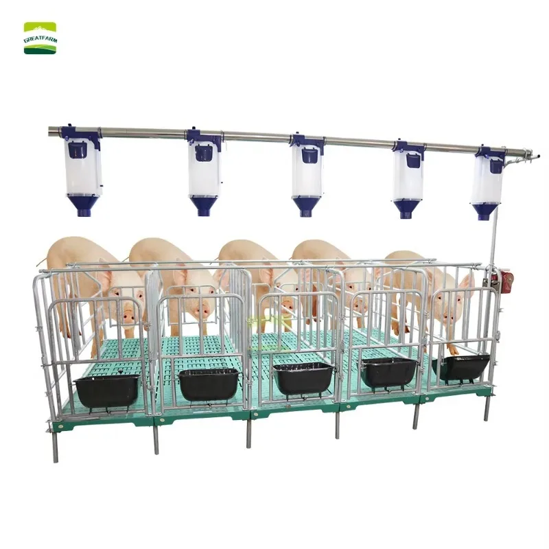 Galvanized Pig Gestation Pen - Durable Gestation Sow Stall with Integrated Steel Feeder for Animal Supplies and Farm Accessories