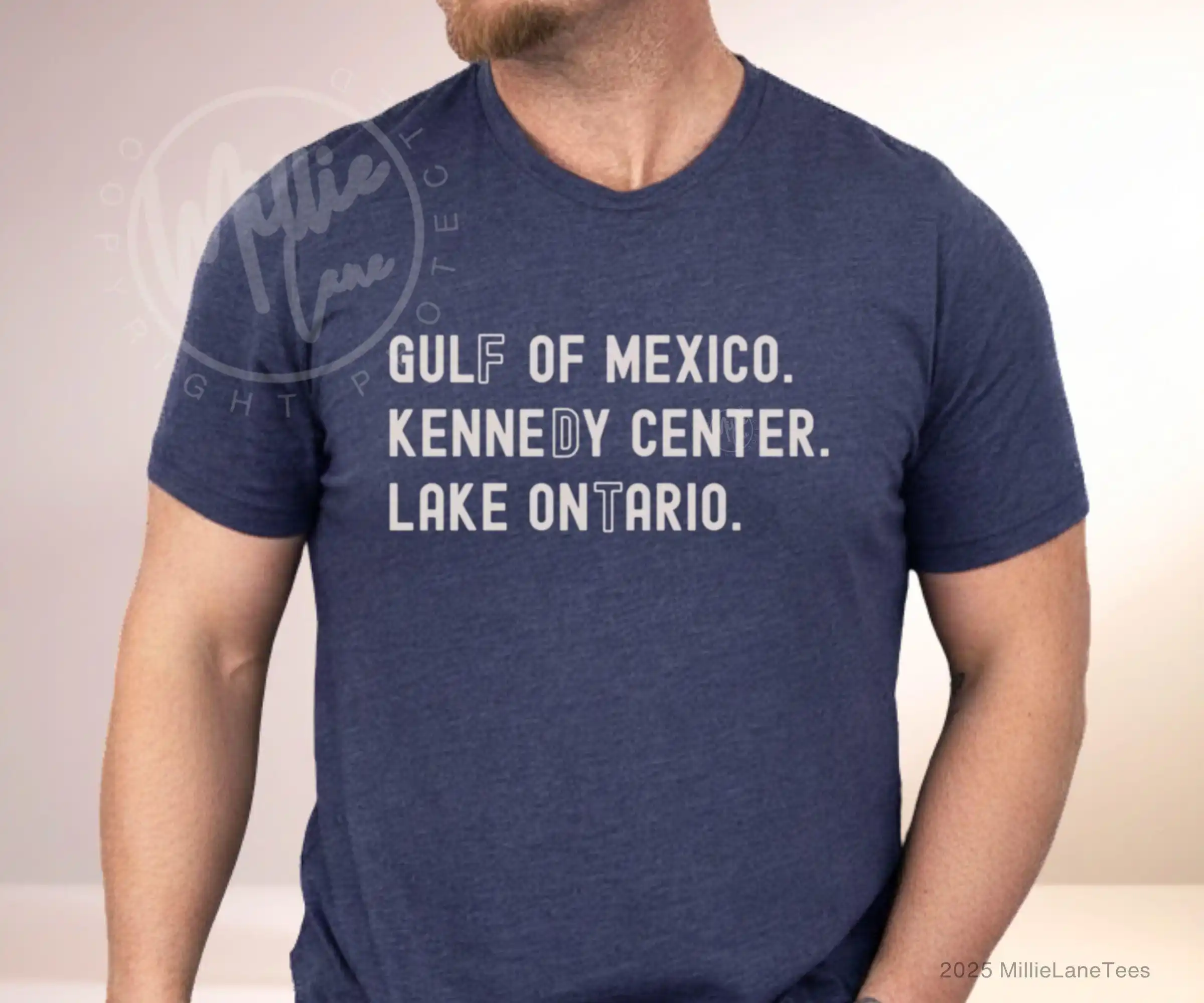 Lake Ontario Shirt, Subtle Gulf  Tee Protest Tshirt, Soft Tee Funny T-shirt