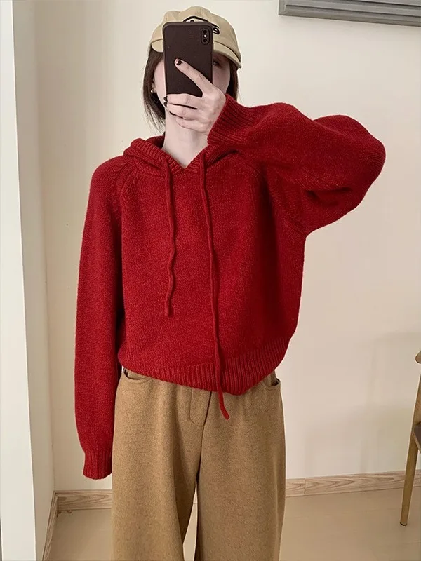 

Женский вязаный свитер большого размера, осенне-зимняя толстовка с капюшоном, верхняя одежда Lazy Sle, прямой вязаный топ