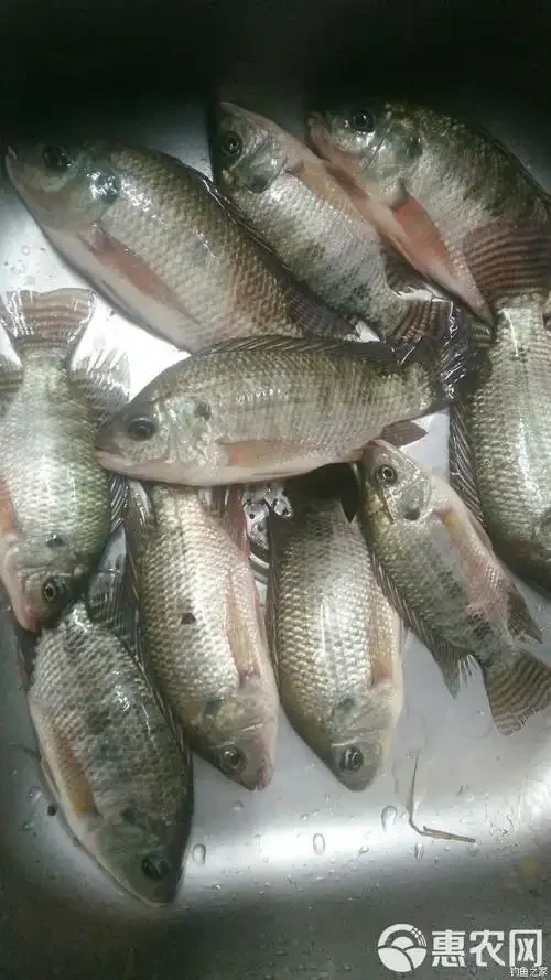 

1/8 1/7 RC On Road Шины и пластиковые колеса Шестигранные шины 17 мм для 1:8 1:7 Drift Car ARRMA Losi Kyosho Tamiya HPI WR8 HSP