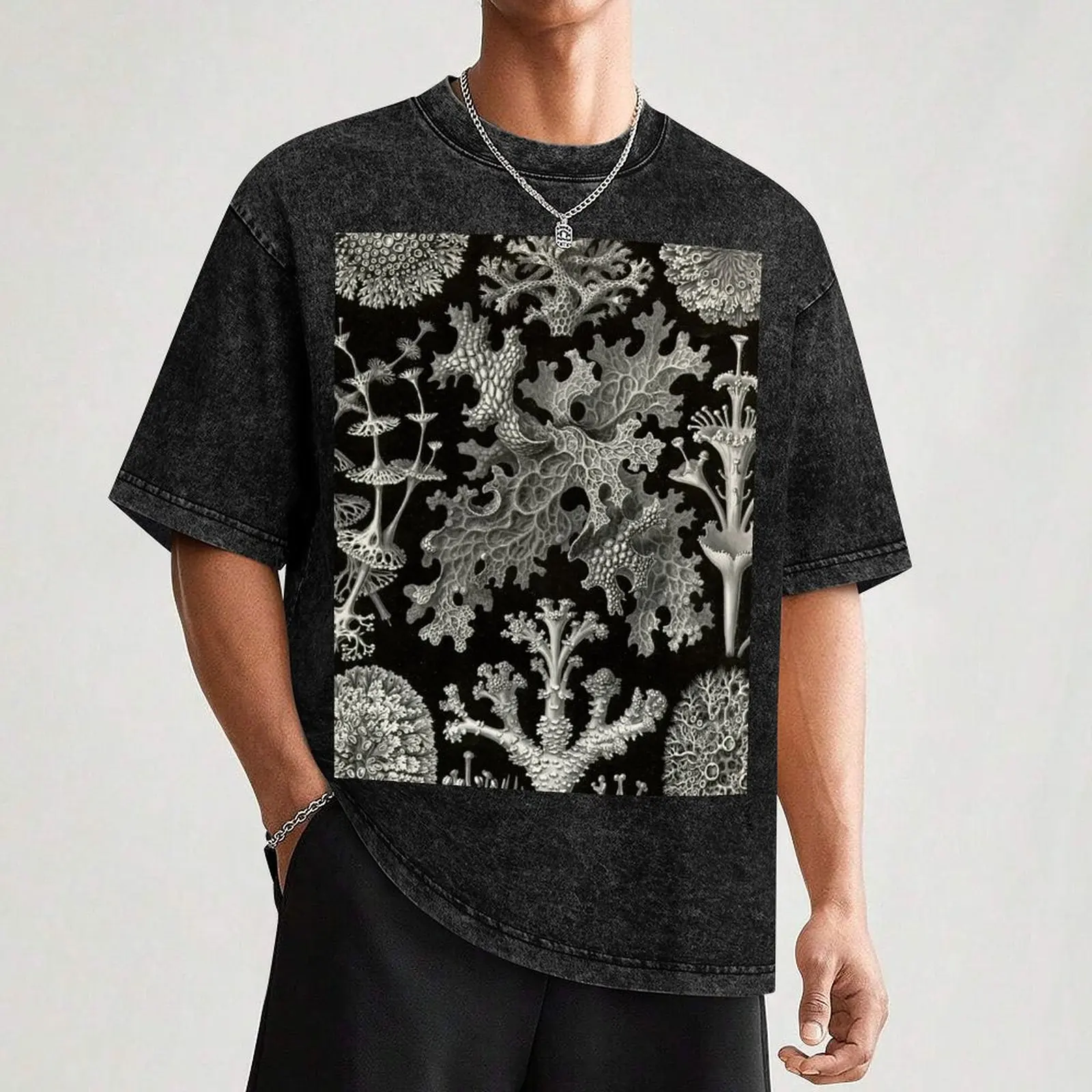 Lichenes (Thallophytes- Lichens)- Ernst Haeckel T-Shirt Simple Trendy Casual T-Shirt