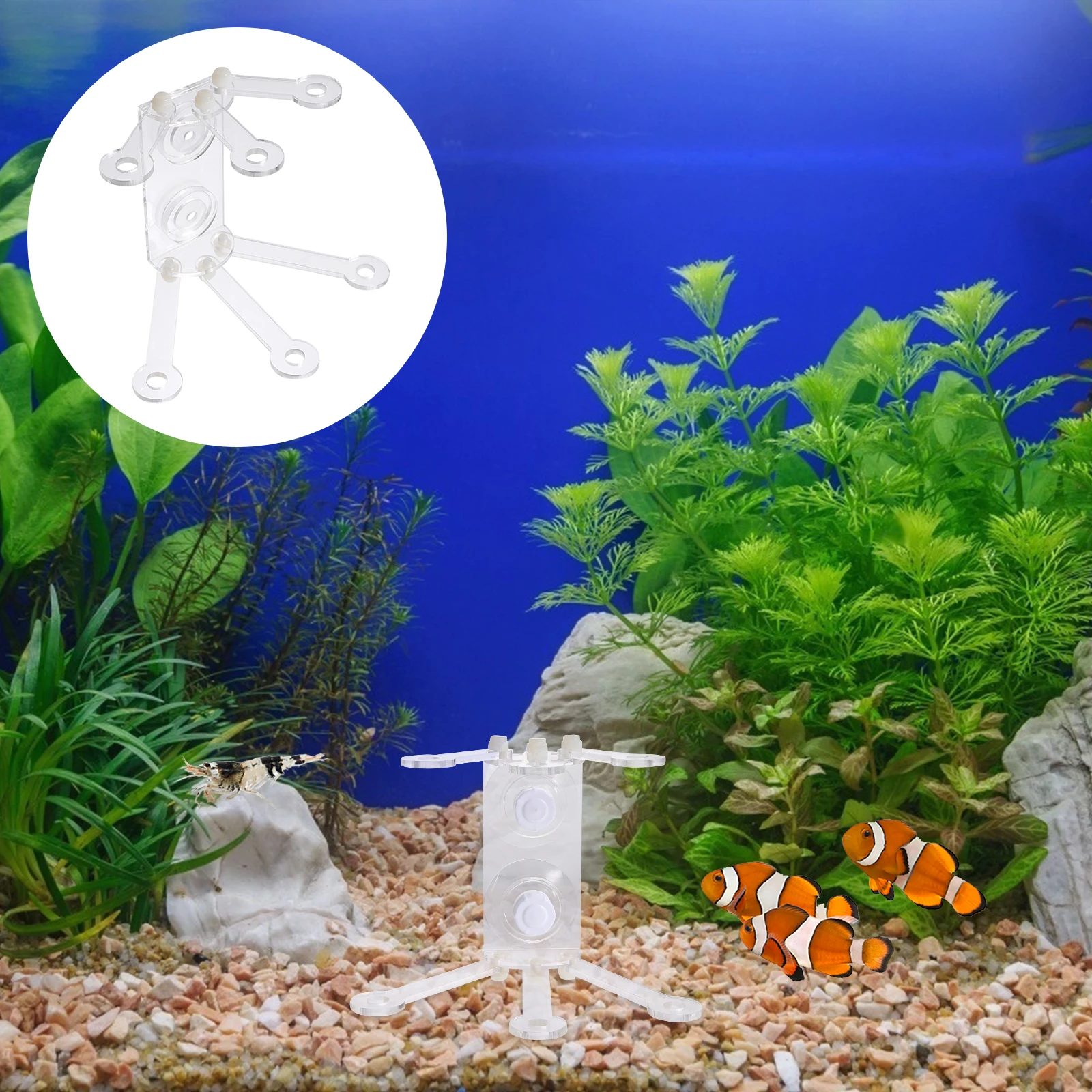 

Coral Rack Acrylic St for Double Layer Reef Rack Holder Pedestals Powerful Suction Cups Durable Material Pet