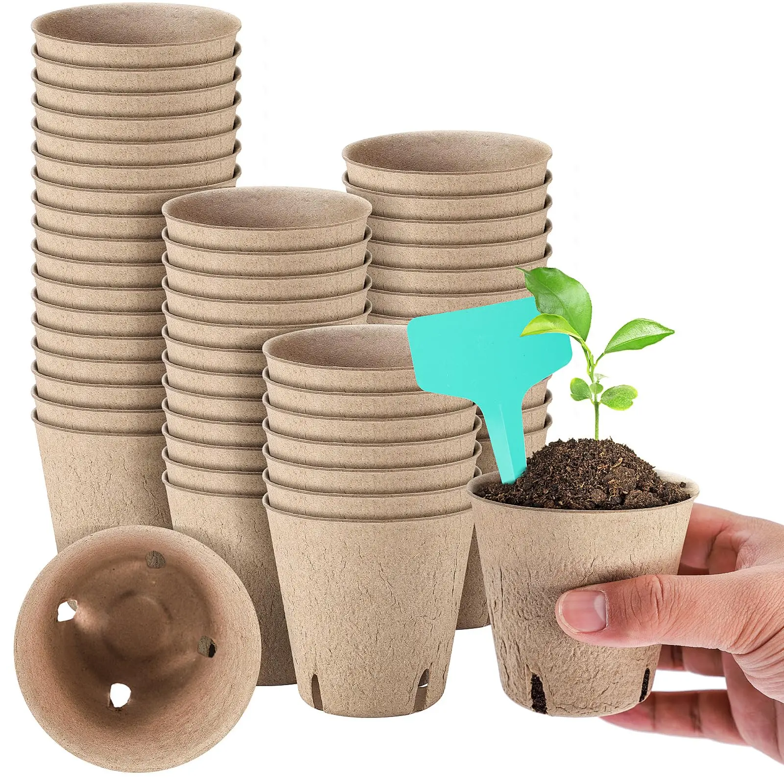 50 Packs 3 Inch Peat Pots Plant Starters for Seedling with 15 Pcs Plant Labels, Biodegradable Herb Seed Starter Pots Kits