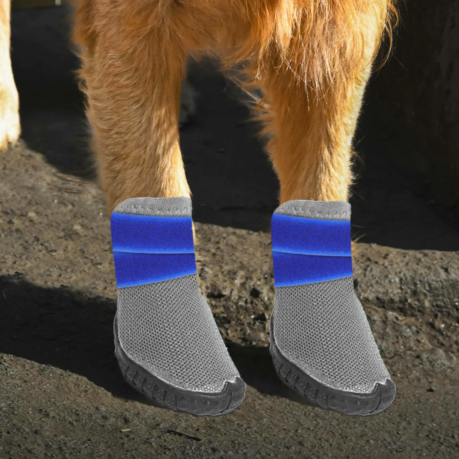 

20Pcs Pet Boot Strap Fasteners Adjustable Non Slip Dog Sock Bands Rainy Weather Paw Protector Bootie Accessories