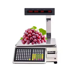 HSPOS 30kg Electronic Digital Scale Weighting Balance Cash Register Label Scale for Shop HS-A01