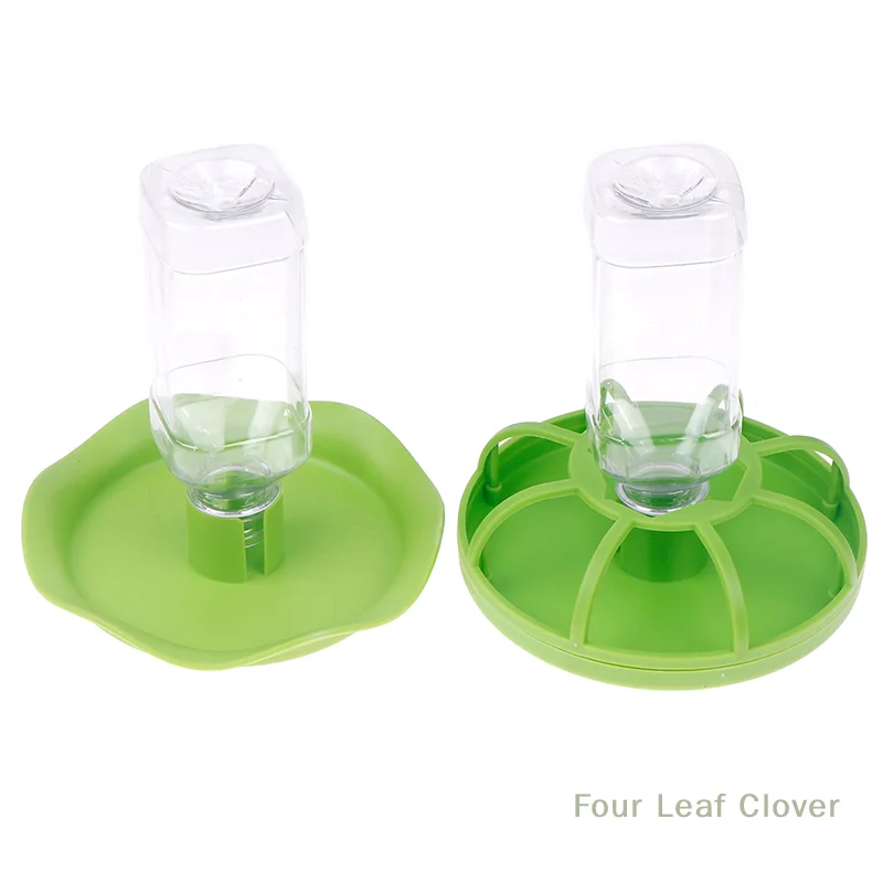Round Reptile Water Food Bowl 5