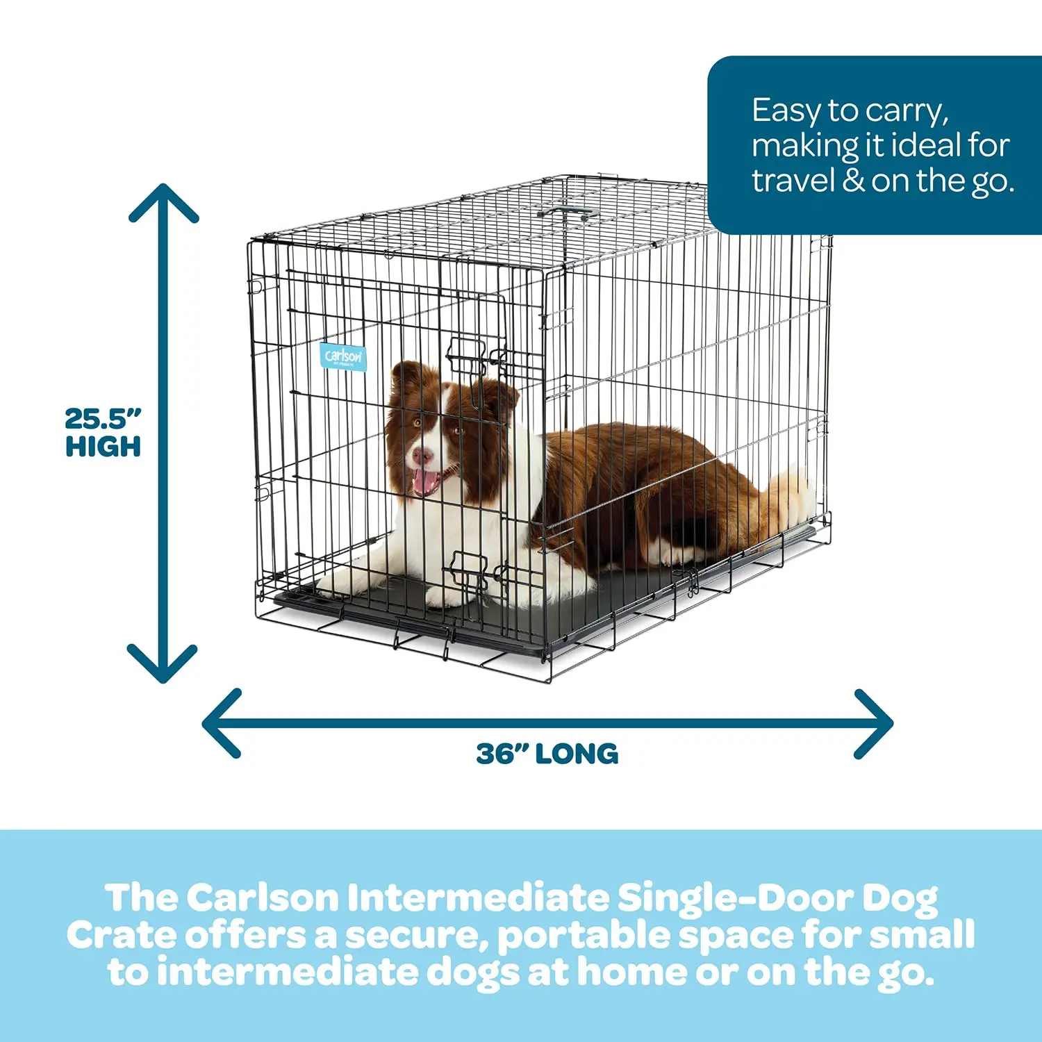 Pet Products Single Door Metal Dog Crate, Intermediate 36