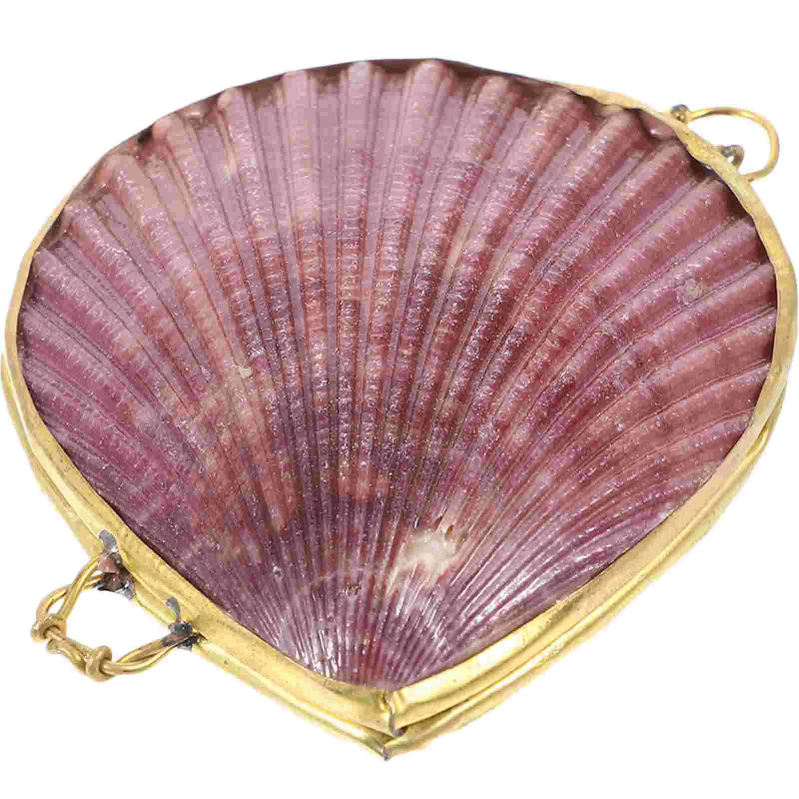 Transparent Shell Storage Box Clothing Boxes for Gifts Decorative Case Container Seashell Jewelry