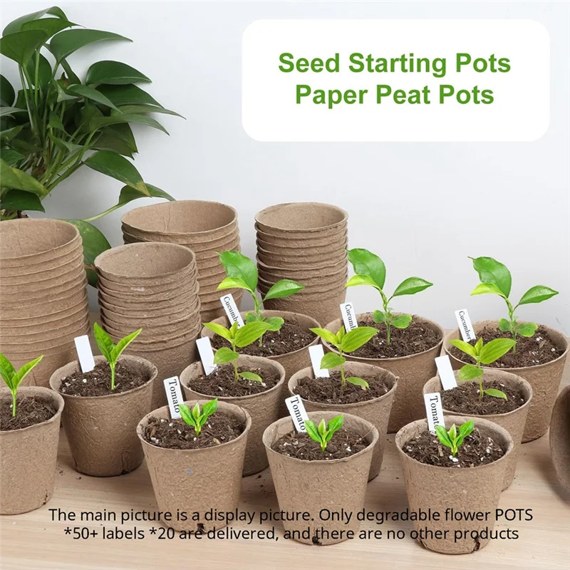 Round Plant Nursery Pots With Drainage Holes, Bulk Small Seed Starting Trays, Garden Sprout Biodegradable Containersab13