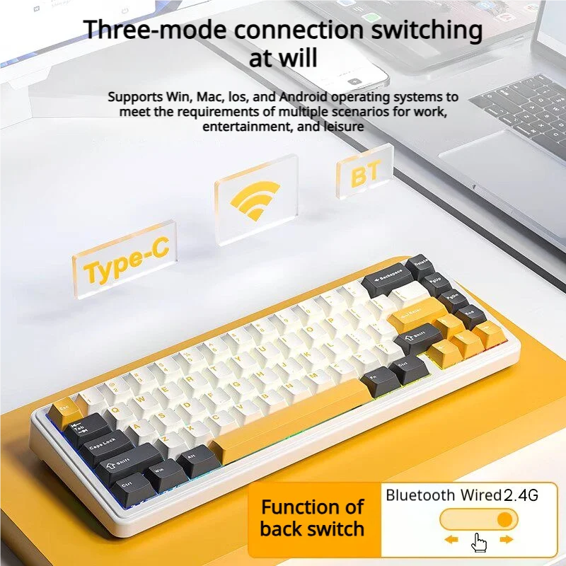 AULA F65 Custom Mechanical Keyboard, Leaf Spring Gasket 5-Layer Sound Dampening, Tri-Mode Hot Swap, South-Facing RGB, PBT Keycap