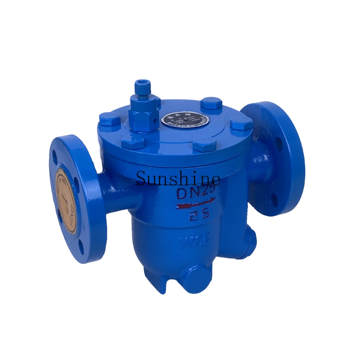 CS41H-16C مصيدة بخار عائمة خالية من الفولاذ المصبوب DN15 20 25