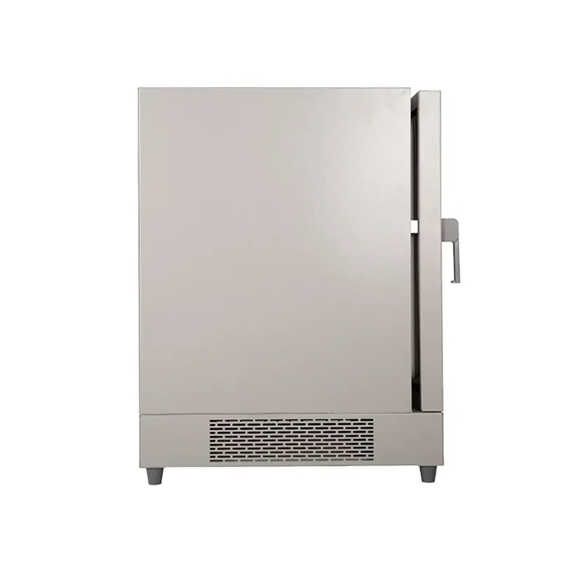Laboratory DGG-9140A 140L Forced Hot Air Circulating Drying Oven Industry  Circulation