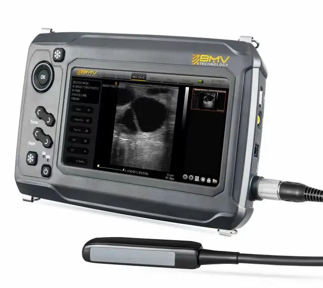 Portable BestScan S6 V900 Digital Veterinary Ultrasound Rectal Probe + Video Glasses + Probe Auxiliary Stick