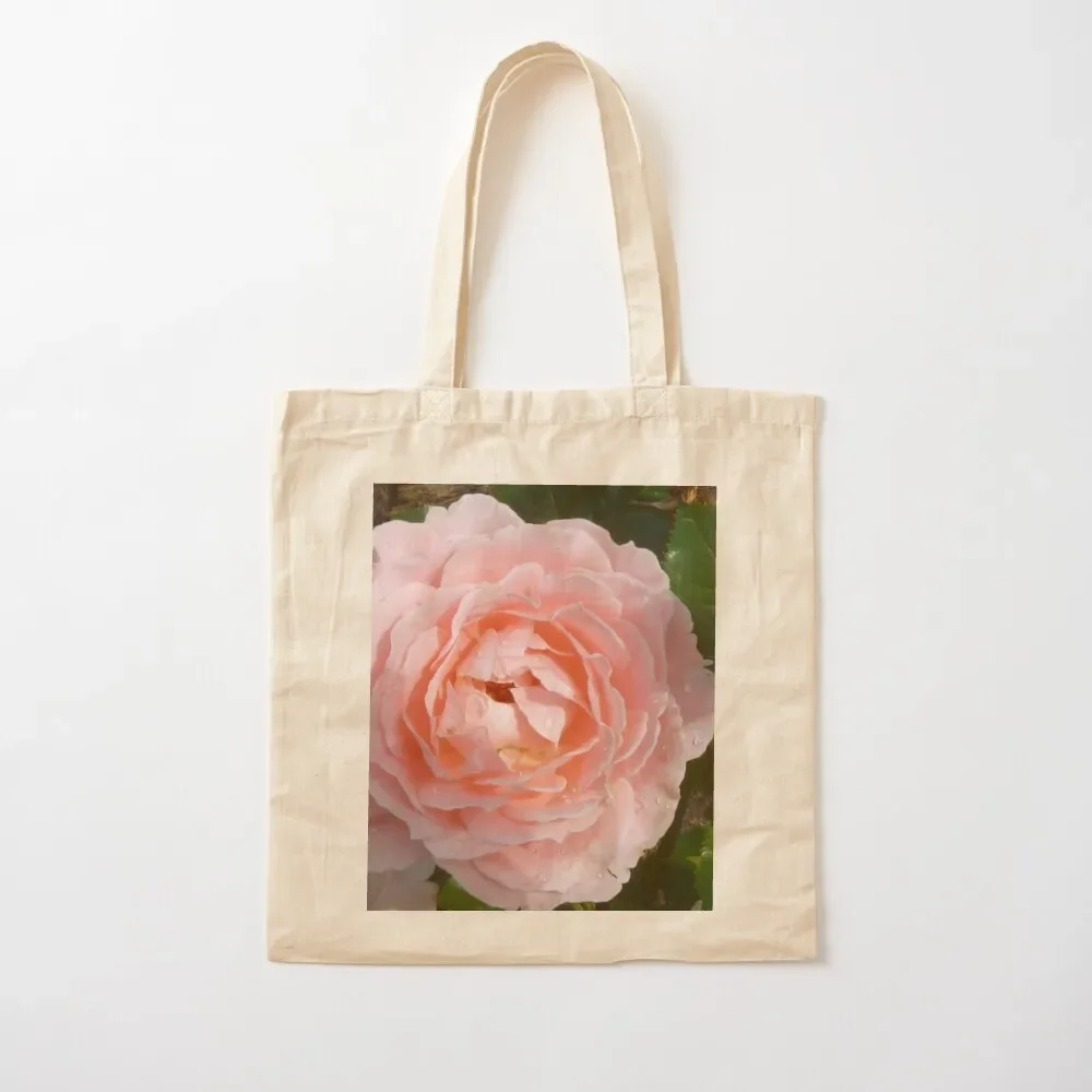 

David Austin Queen of Sweden Rose Tote Bag tote bag custom sac pour femme Tote Bag