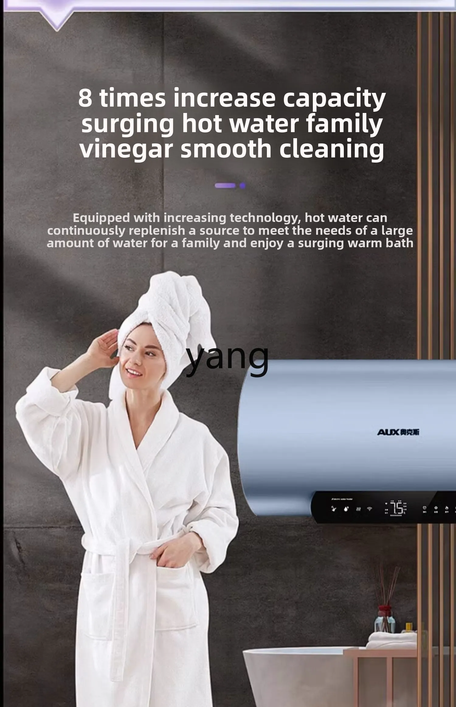 LH electric water heater household bathroom bath water storage type quick heating