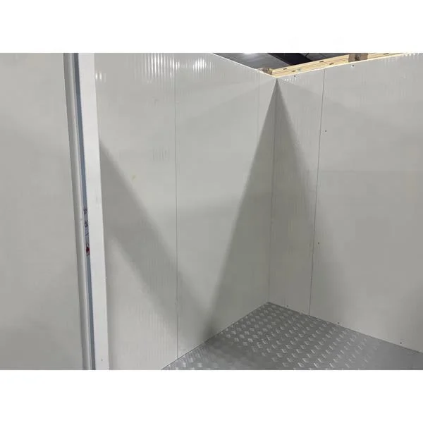 Coldroom Meat Fish Fruits Vegetables Container Refrigeration Unit Blast Chiller Freezer Walk in Cold Room Storage Manufacturer