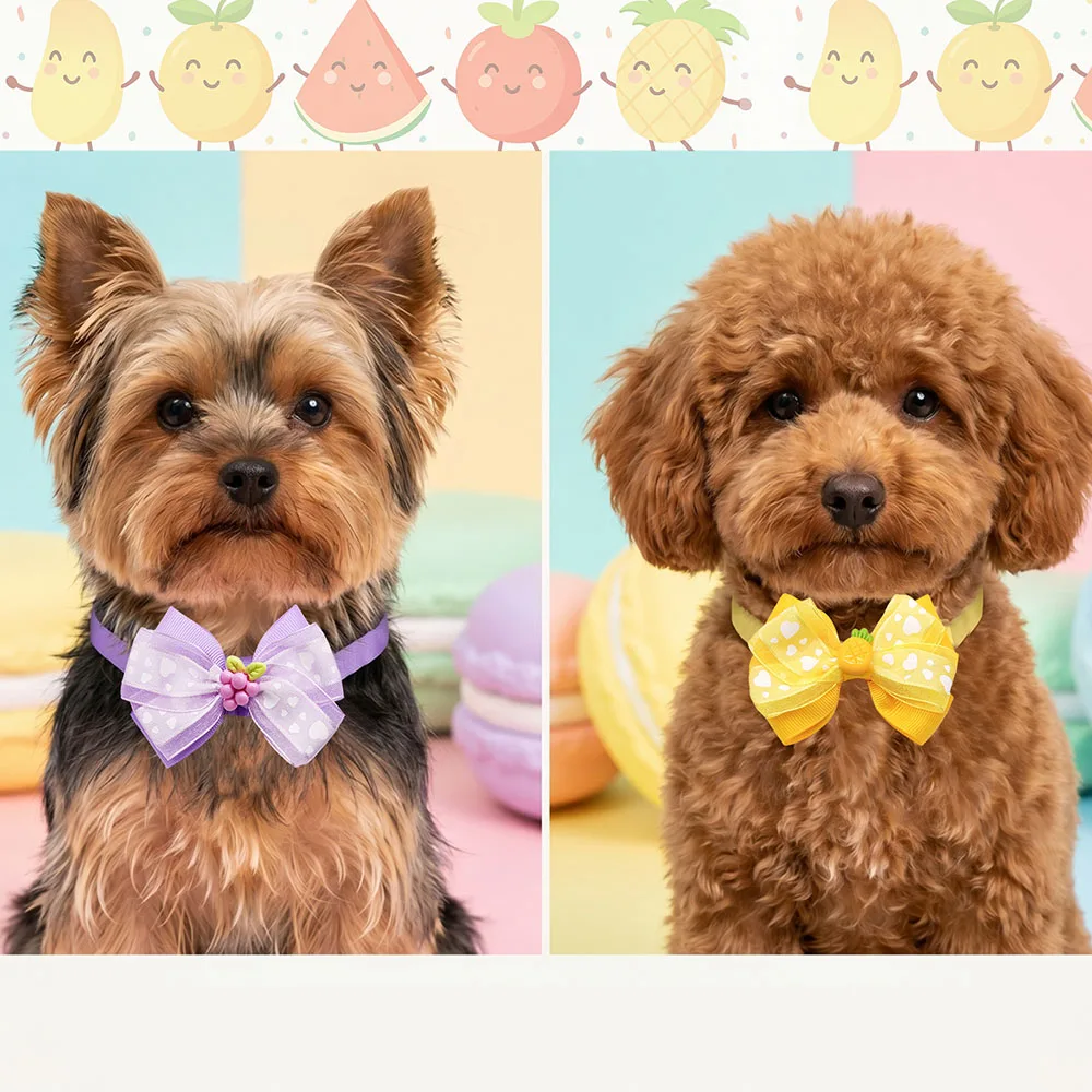 Lazos de frutas para perros y collar ajustable en gatos - imagen 4