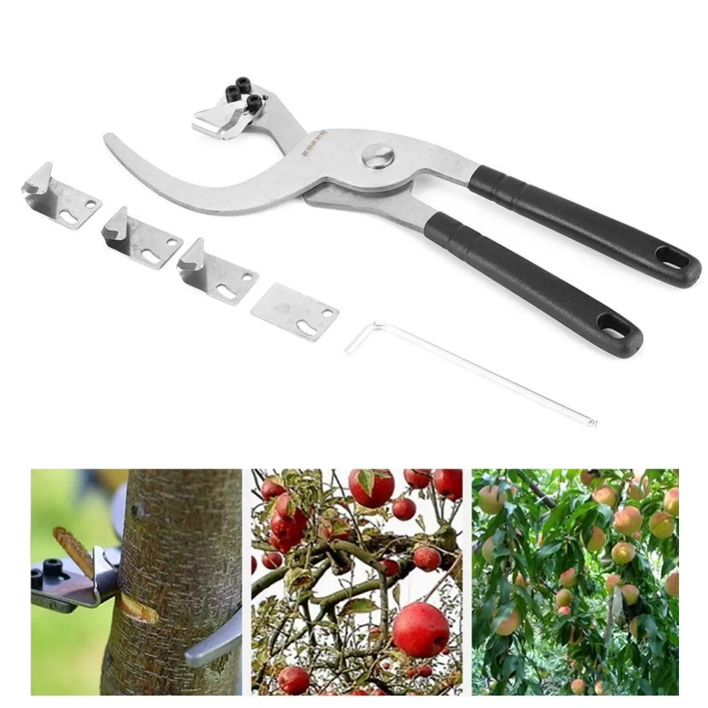 Stainless Steel Tree Branches Cutter Bypass Design Ergonomic Handle Garden Tool Set Sharp Blade Silver Ring Barking Pruner
