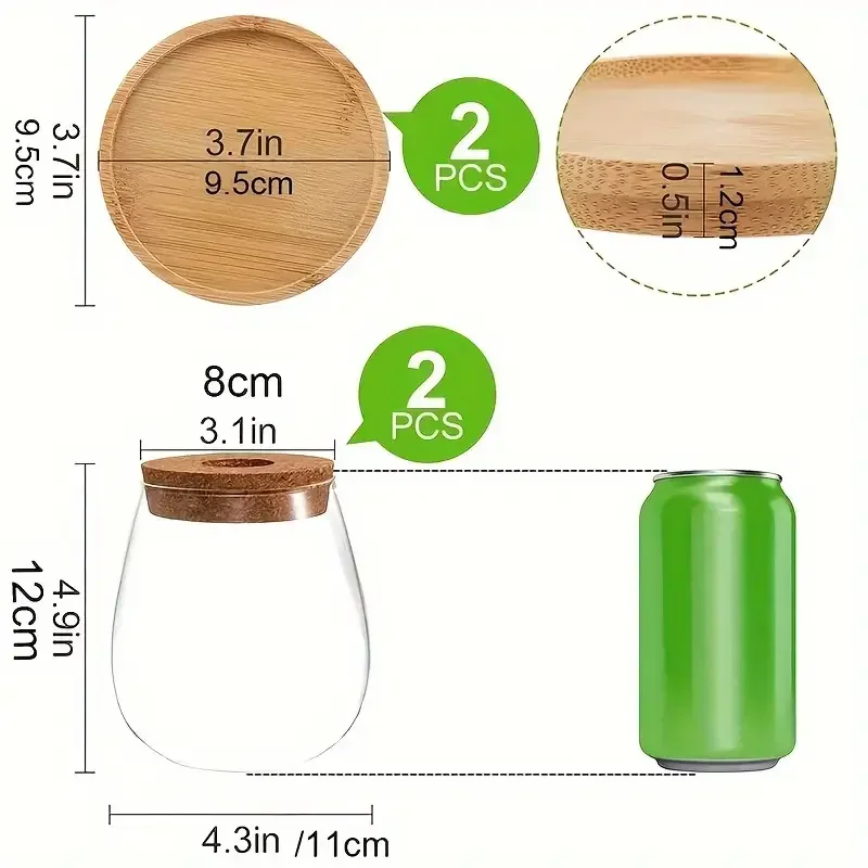 Modern Glass Vase with Wood Lid Base - for Plant Propagation, Home Office Table Decor