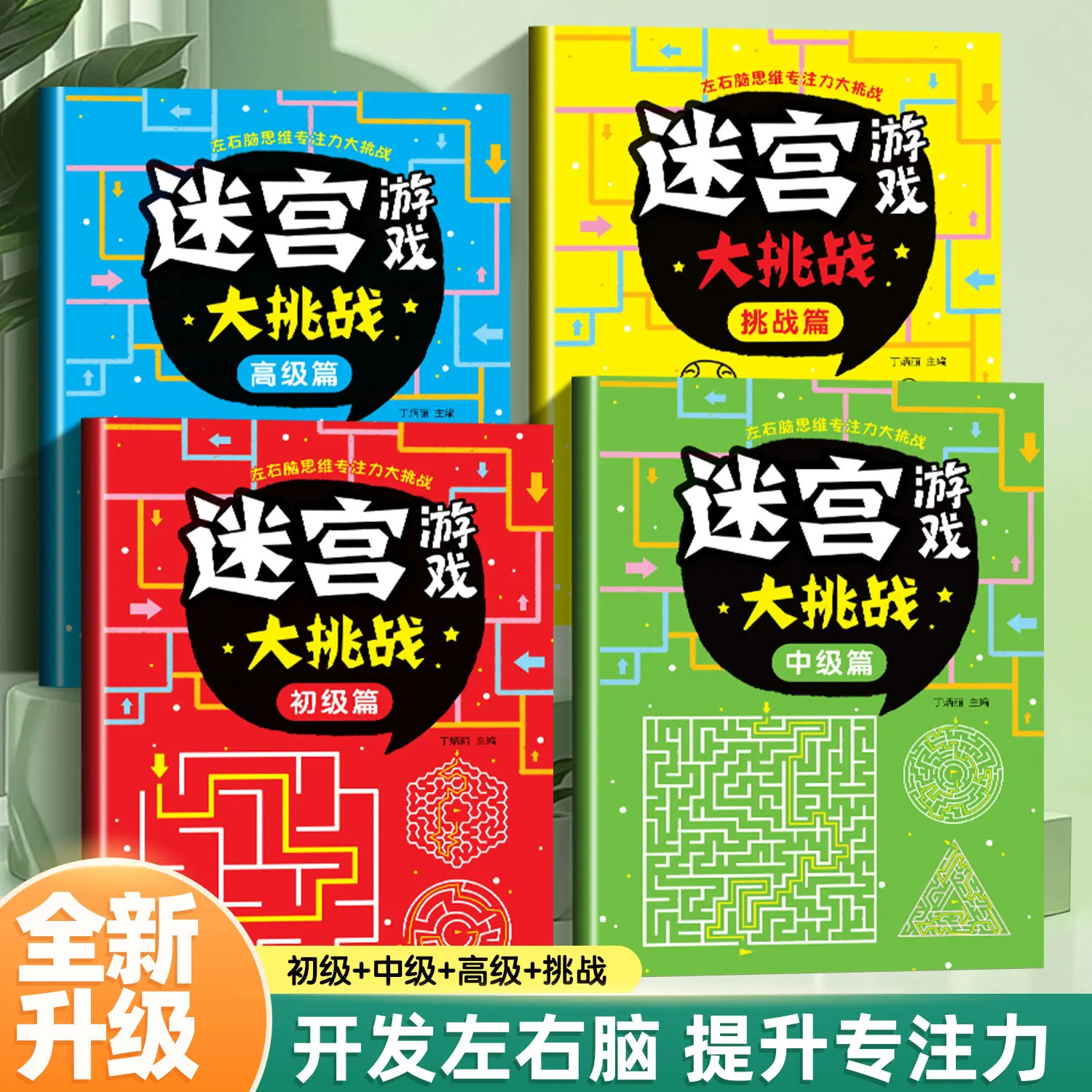 Children's Maze Game Big Challenge Development, Focus on Passing Levels, Training and Puzzle Solving