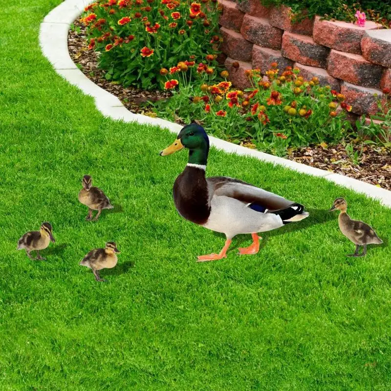 41XB 5 Pack Ducks Yard Signs for Outdoor Yard Lawn Garden Acrylic Mirror Decoration